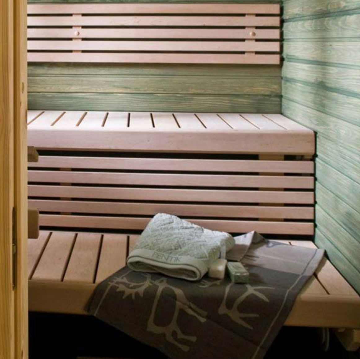 Cleaning Agent for sauna Supi Saunapesu 1l