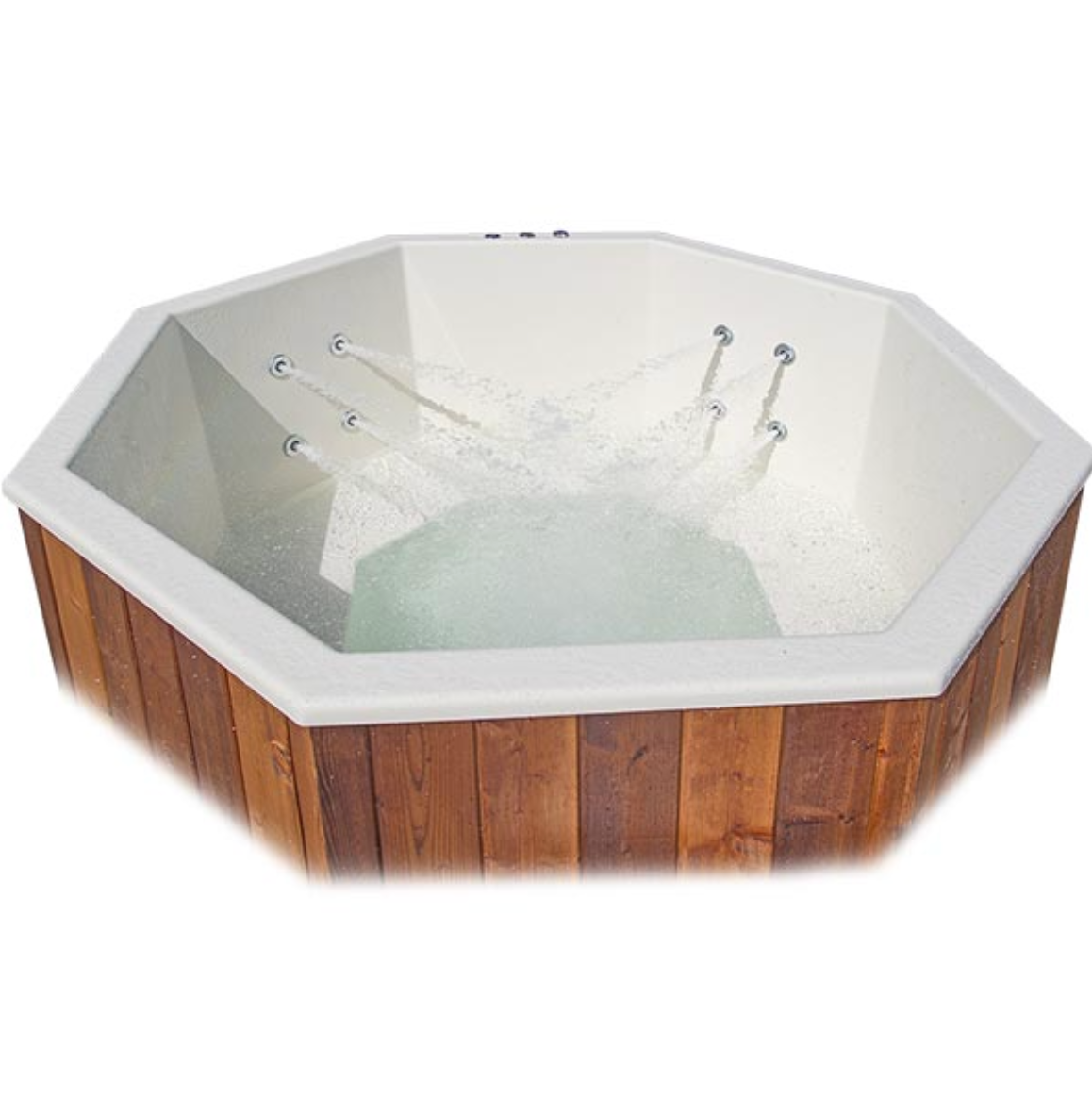 HydroMassage System