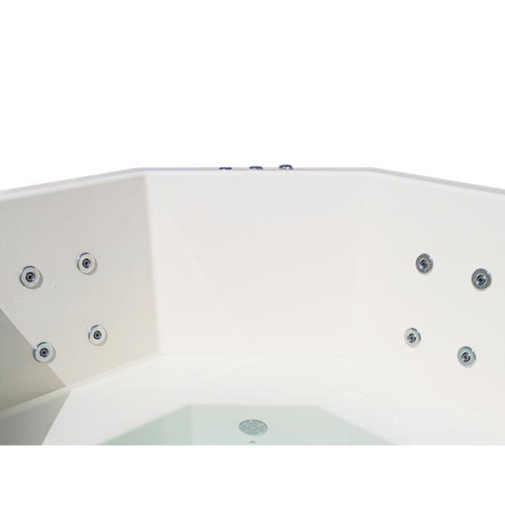 HydroMassage System